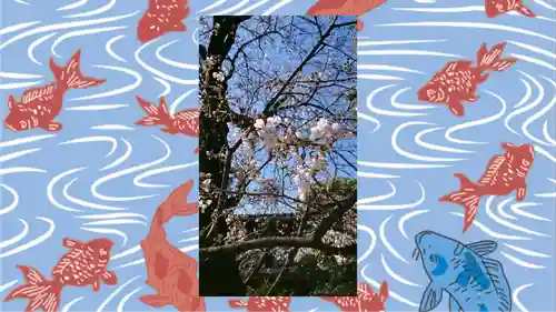 阿佐ヶ谷神明宮(東京都)