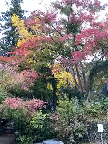 高尾山薬王院の庭園