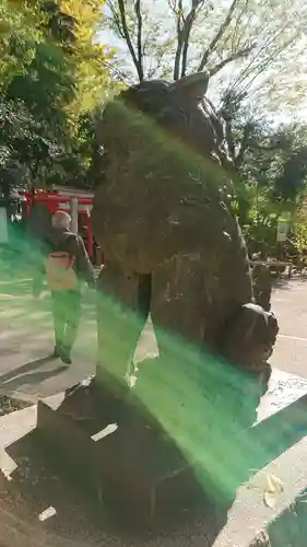 鳩森八幡神社の狛犬