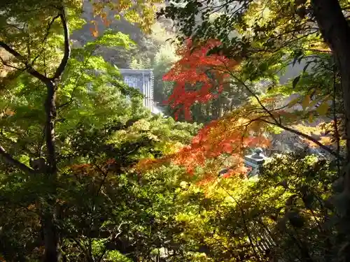 安國論寺(安国論寺)の自然