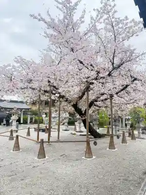伊和志津神社の{uncategorized: "未分類", other: "その他", undefined: "問題あり", building: "その他建物", grave: "お墓", sacred_gate: "鳥居", guardian: "狛犬", statue: "像", buddha: "仏像", history: "歴史", nature: "自然", garden: "庭園", animal: "動物", pagoda: "塔", temizu: "手水舎", mountain_gate: "山門・神門", sanctuary: "本殿・本堂", subordinate: "末社・摂社", art: "芸術", scenery: "景色", jizo: "地蔵", ema: "絵馬", goshuin: "御朱印", omikuji: "おみくじ", items: "授与品その他", amulet: "お守り", goshuincho: "御朱印帳", eats: "食事", festival: "お祭り", votive_dance: "神楽", shichigosan: "七五三参", wedding: "結婚式", experience: "体験その他", initially: "初詣", around: "周辺", anti_infection: "感染症対策"}