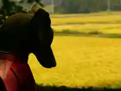 斗瑩稲荷神社(宮城県)