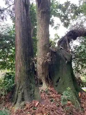 宗像神社(千葉県)