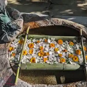 立志神社(滋賀県)(2024年04月25日(木) 09時33分08秒投稿)