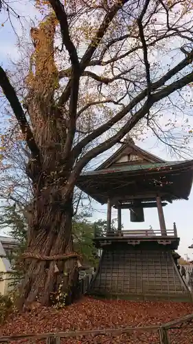 北向観音の自然