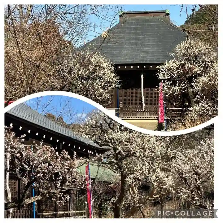 本土寺(千葉県)