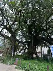 野島神社(宮崎県)