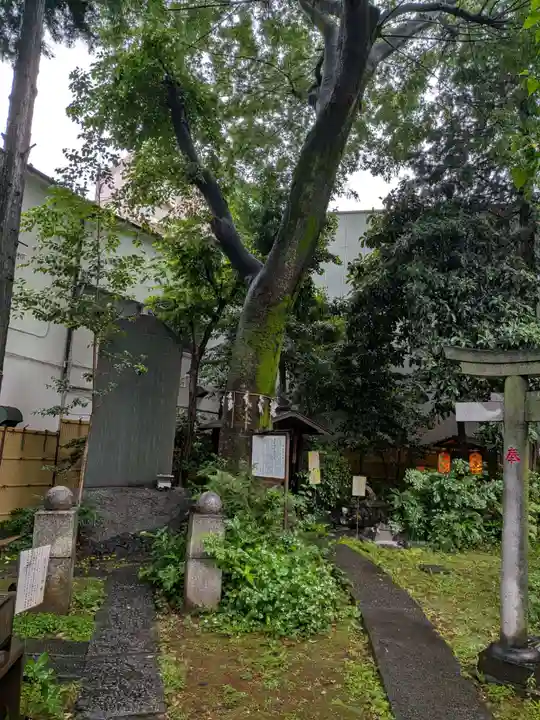 くまくま神社(導きの社 熊野町熊野神社)(東京都)