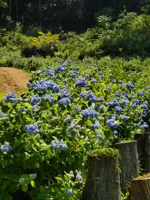 陽林寺(福島県)