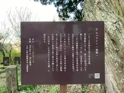 城願寺(神奈川県)