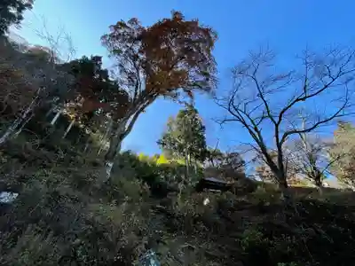 大湯薬師堂の自然