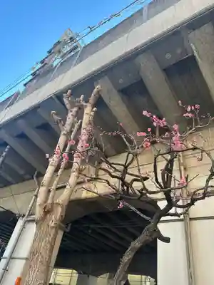 梅島天満宮(東京都)