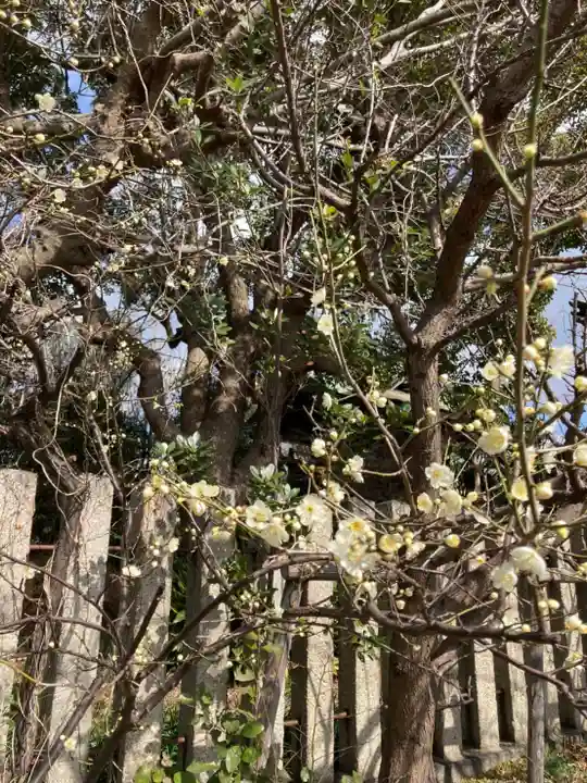 休天神社の自然