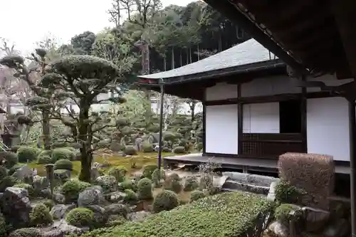 金剛寺の庭園