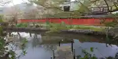 稗田野神社(薭田野神社)(京都府)