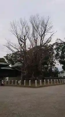葛飾八幡宮のその他建物