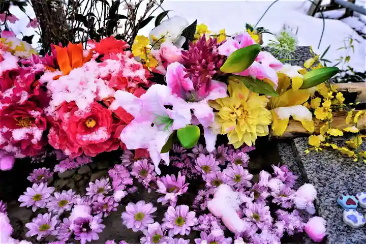 陽林寺(福島県)