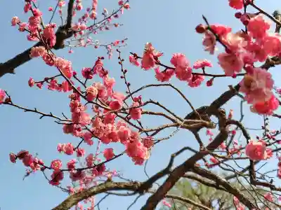 開成山大神宮(福島県)