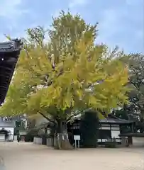 松原八幡神社(兵庫県)