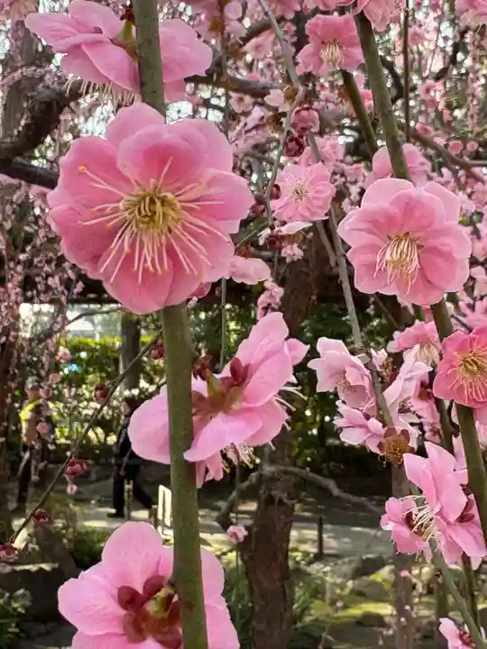 城南宮(京都府)