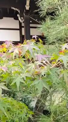 宝蔵寺(京都府)