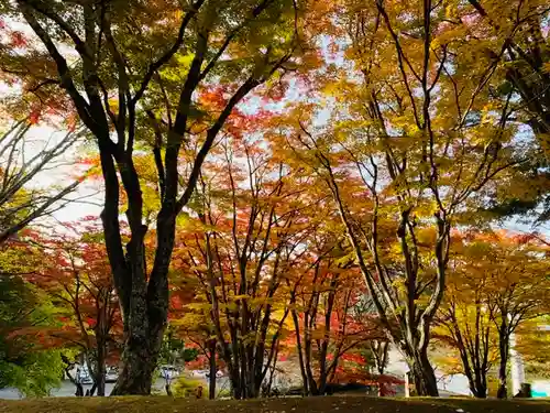 土津神社｜こどもと出世の神さまの景色