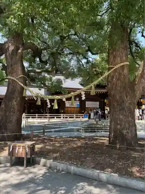明治神宮(東京都)
