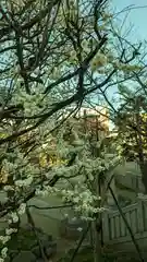 北野神社の自然