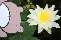 くまくま神社(導きの社 熊野町熊野神社)(東京都)