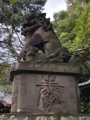 石神井氷川神社の狛犬