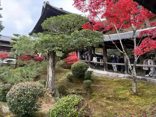 東福禅寺（東福寺）(京都府)