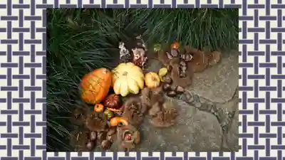 馬場氷川神社(埼玉県)