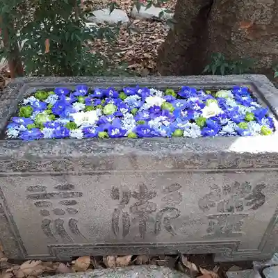 行田八幡神社の手水舎