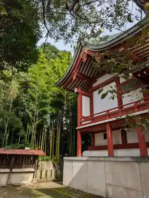柏諏訪神社(千葉県)