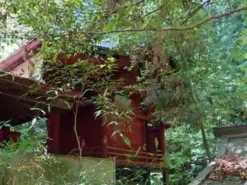 塙田八幡宮の本殿・本堂