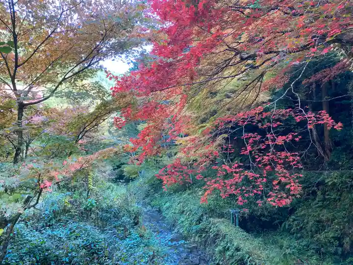 龍蔵寺(兵庫県)