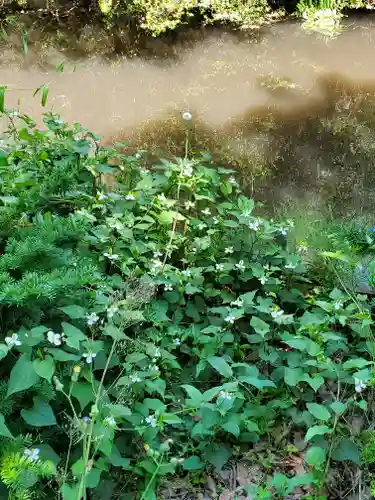 白髭神社(栃木県)