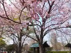 札幌護國神社の自然