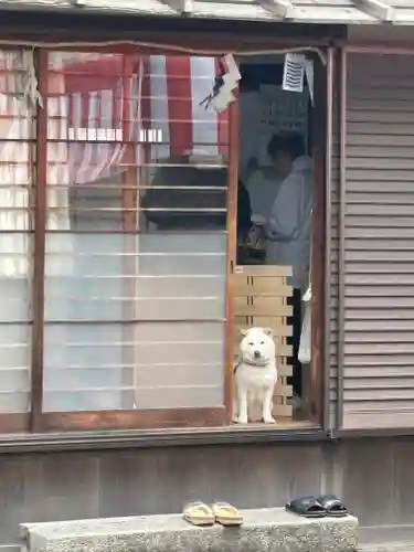 宗忠神社(京都府)