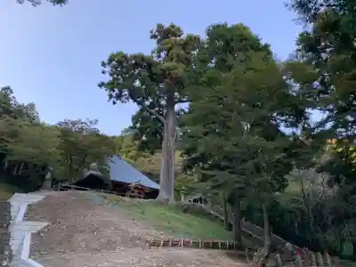 普門寺(切り絵御朱印発祥の寺)(愛知県)