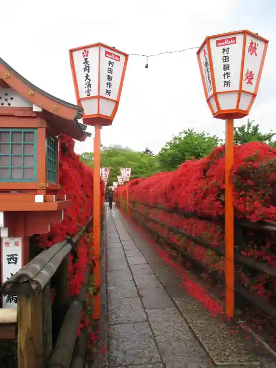 長岡天満宮の自然