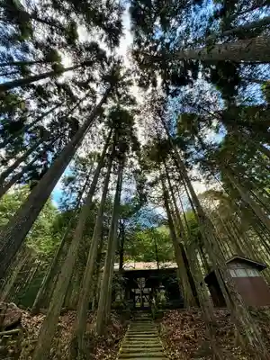 賀茂神社(京都府)