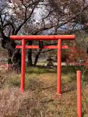 天神宮(伝河原氏屋敷跡)(長野県)