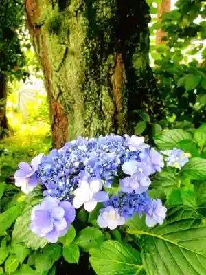 本郷氷川神社(東京都)
