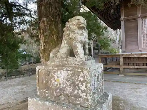 館山神社の狛犬