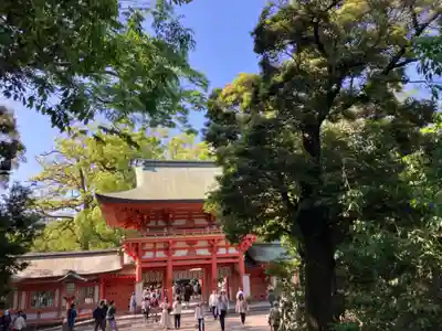 武蔵一宮氷川神社(埼玉県)