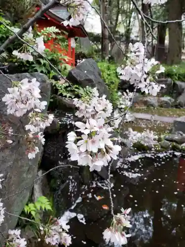 熊野神社(東京都)