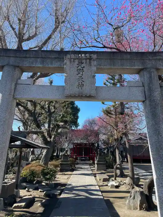 北野天神(仲六郷北野神社)の{uncategorized: "未分類", other: "その他", undefined: "問題あり", building: "その他建物", grave: "お墓", sacred_gate: "鳥居", guardian: "狛犬", statue: "像", buddha: "仏像", history: "歴史", nature: "自然", garden: "庭園", animal: "動物", pagoda: "塔", temizu: "手水舎", mountain_gate: "山門・神門", sanctuary: "本殿・本堂", subordinate: "末社・摂社", art: "芸術", scenery: "景色", jizo: "地蔵", ema: "絵馬", goshuin: "御朱印", omikuji: "おみくじ", items: "授与品その他", amulet: "お守り", goshuincho: "御朱印帳", eats: "食事", festival: "お祭り", votive_dance: "神楽", shichigosan: "七五三参", wedding: "結婚式", experience: "体験その他", initially: "初詣", around: "周辺", anti_infection: "感染症対策"}