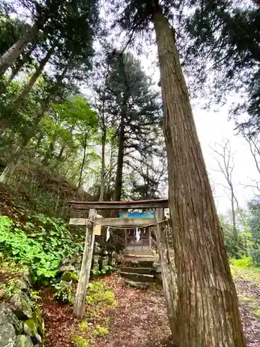 笹八木社(子檀嶺神社境内社)の鳥居