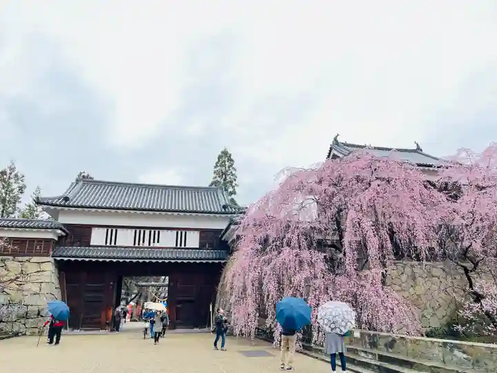 眞田神社(長野県)